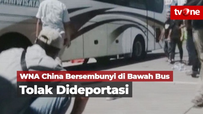 Tolak Dideportasi, WNA China Bersembunyi di Bawah Bus
