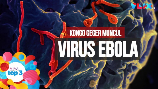 Virus Ebola Muncul Lagi dan Ade Armando Disomasi