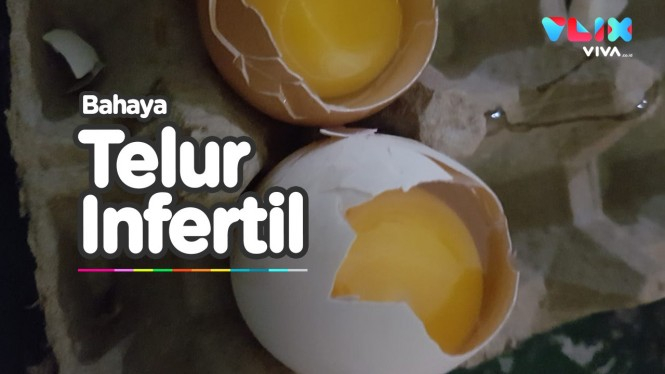 Jangan Tergoda Harga Murah, Kenali Bahaya Telur Infertil