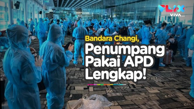 Penumpang Pakai APD Lengkap, Bandara Changi Heboh!