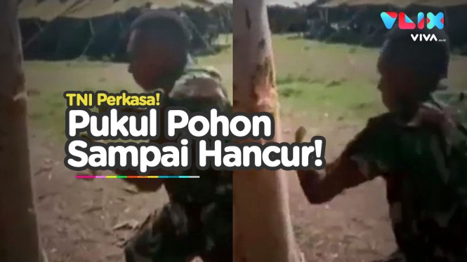 Sakti! Anggota TNI Ini Pukuli Pohon Sampai Hancur