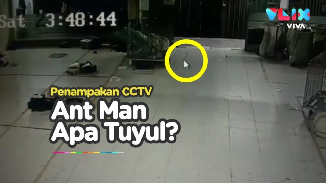 Uang Sering Hilang, CCTV Rekam Sosok Makhluk Kecil Misterius
