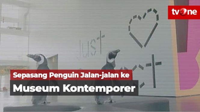 Sepasang Penguin Kunjungi Museum Seni Kontemporer
