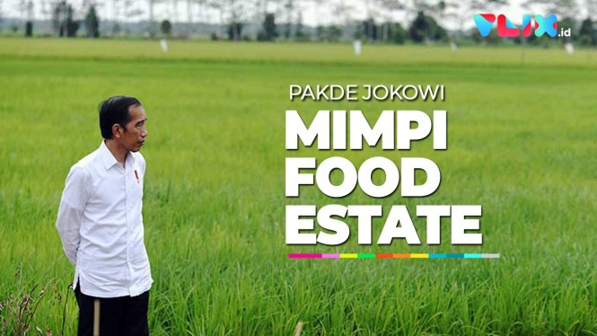 Alasan Jokowi Ngotot Lanjutkan Proyek Food Estate