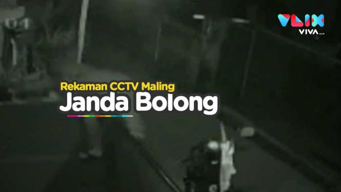 Janda Bolong jadi Primadona, CCTV Rekam Maling Curi Tanaman