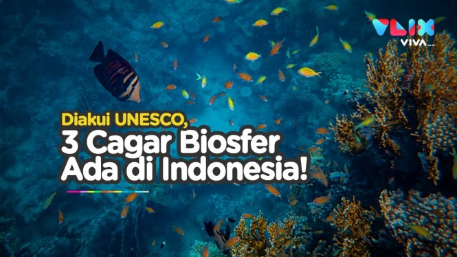 UNESCO Tetapkan Tiga Cagar Biosfer Baru di Indonesia