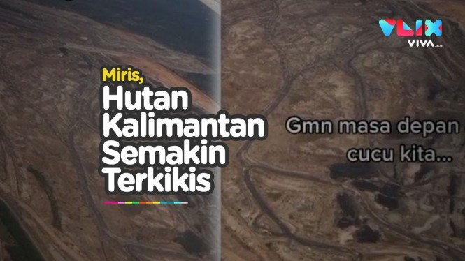 Bukti "Paru Paru Dunia" di Kalimantan Terus Digerogoti