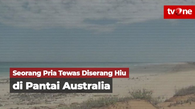Seorang Pria Tewas Diserang Hiu di Pantai Australia