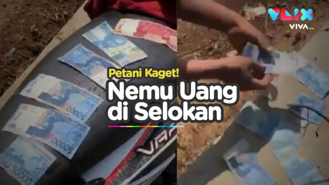 Video Viral Uang Tunai Berceceran di Irigasi Sawah!