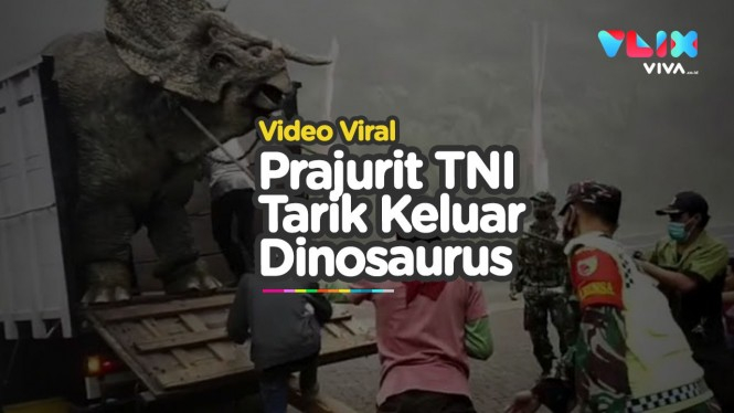 Viral Video Dinosaurus Ngamuk Depan Prajurit TNI