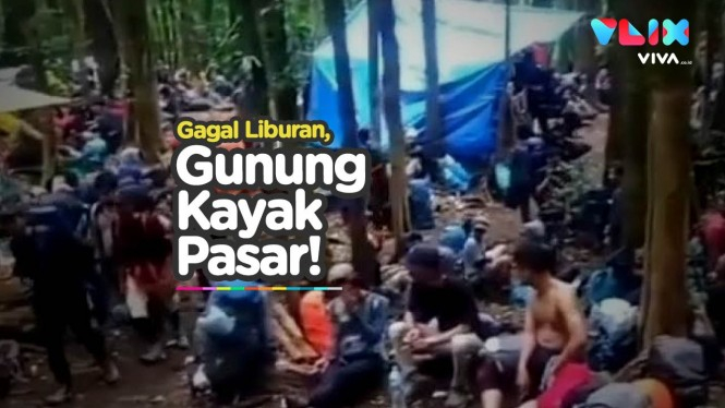 Video Membeludaknya Pendaki Gunung Gede Pangrango