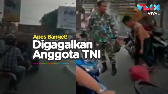 Apes Banget, Aksi Bajing Lonjat Digagalkan Anggota TNI