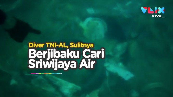 Video Kerja Keras Diver TNI Cari Bangkai Sriwijaya Air