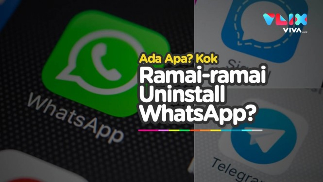 Kenapa Ramai Hapus WhatsApp? Beralih ke Signal dan Telegram