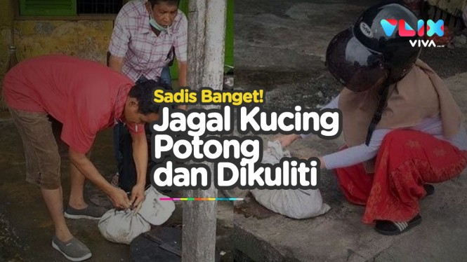 Jagal Kucing Gegerkan Medan! Potong, Dikuliti dan Dijual