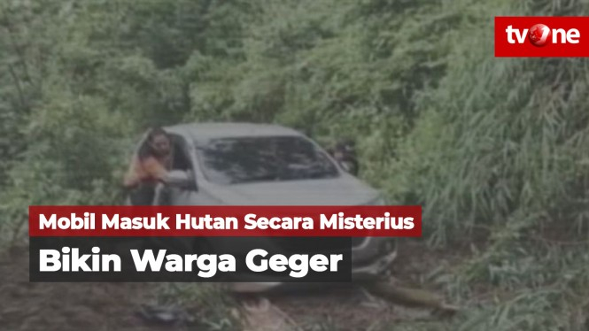 Mobil Masuk Hutan Secara Misterius Viral di Media Sosial