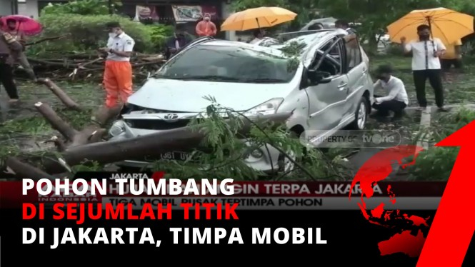 Hujan Disertai Angin Terpa Jakarta, 15 Pohon Tumbang