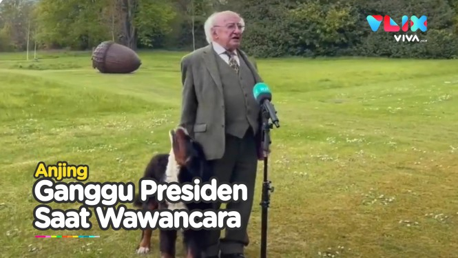 Presiden Irlandia Diganggu Anjing saat Wawancara TV