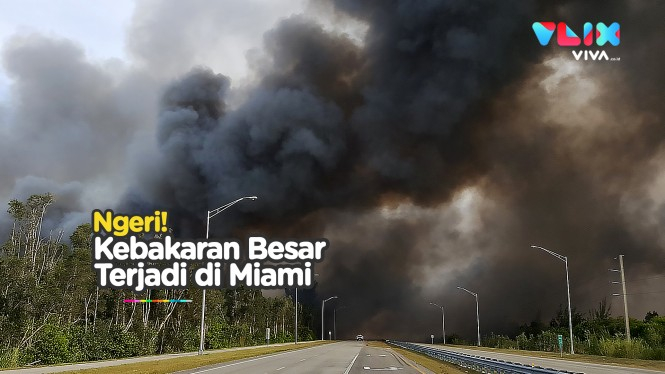 200 Hektar Semak di Miami Terbakar