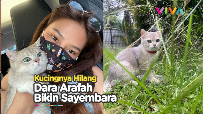 Dara Arafah Kehilangan Kucing, 10 JUTA RUPIAH Buat yang Nemu