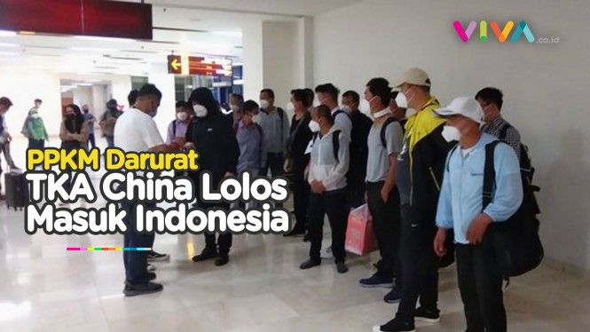 TKA China Lolos Masuk Indonesia, Kok Bisa Pas PPKM Darurat?