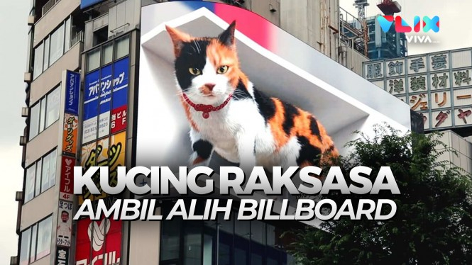 BIKIN HEBOH! Kucing Raksasa Kuasai Papan Reklame di Jepang