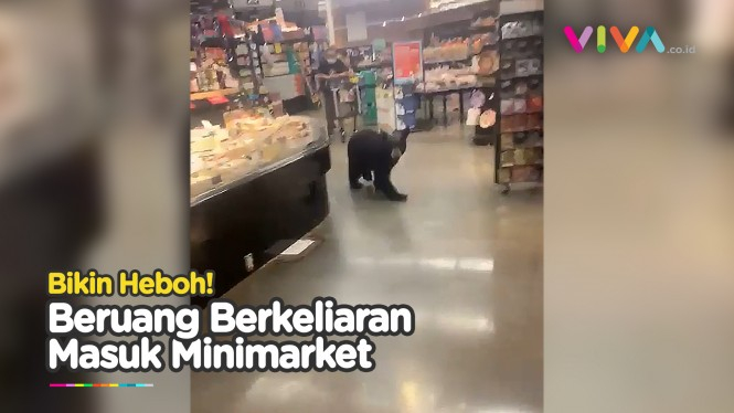 Seekor Beruang Berkeliaran Menyusuri Minimarket California