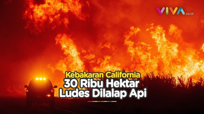 Kebakaran California, Melahap 30 Ribu Hektar Lahan