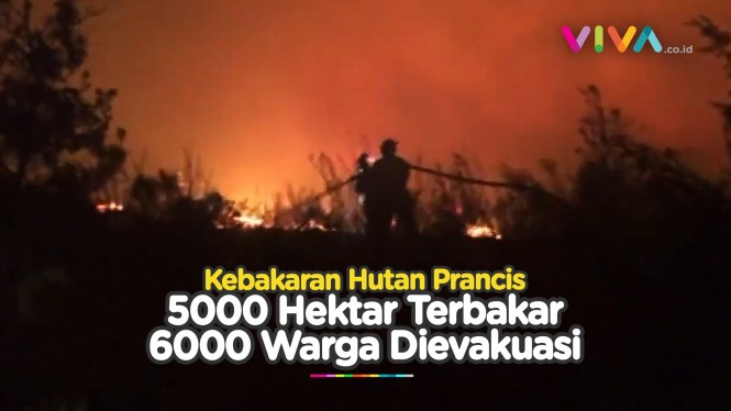 Api Hanguskan 5000 Hektar Hutan di Prancis