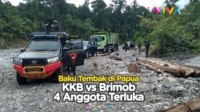 Baku Tembak dengan KKB Papua, Empat Brimob Alami Luka