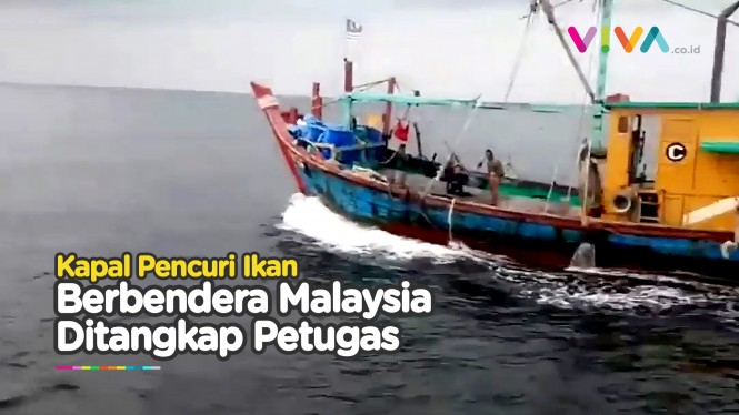 Aksi Pengejaran Kapal Ilegal Malaysia Curi Ikan di Laut RI