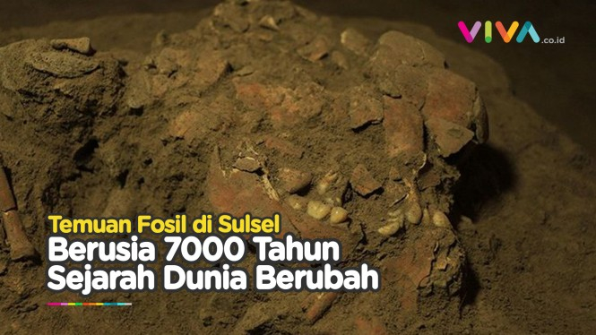 Sejarah Dunia Berubah, Penemuan Fosil 7000 Tahun di Sulsel