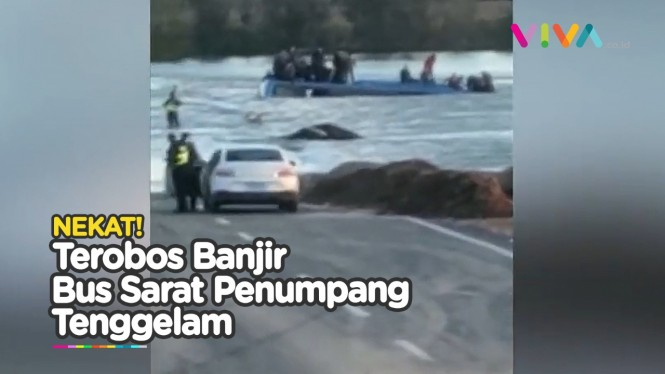 Maksa Lewat Jembatan Banjir, Bus Terseret Masuk Sungai
