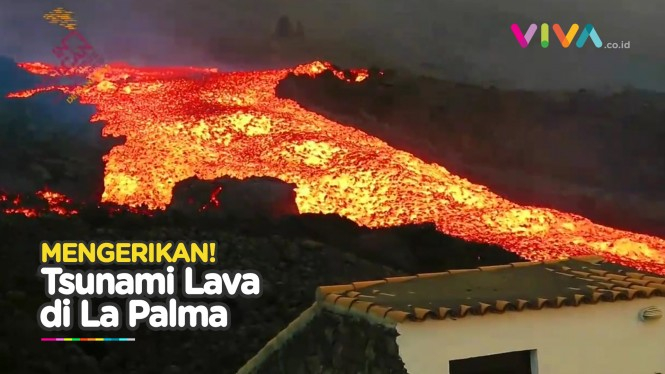 Tsunami Lava Ancam Masa Depan La Palma, Mengenaskan!