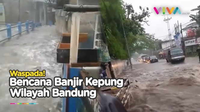 Banjir Parah di Bandung, Arus Deras Ditambah Pohon Tumbang!