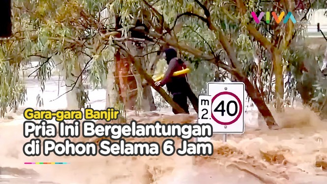 Pria Menempel di Pohon Selama 6 Jam, Hindari Arus Banjir