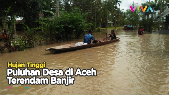 Banjir Rendam Puluhan Desa Aceh, Ribuan Warga Kena Imbasnya