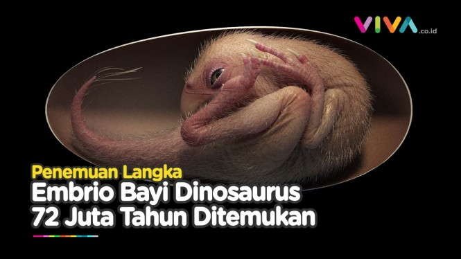 Ditemukan! Bayi Dinosaurus Sempurna Berusia 72 Juta Tahun