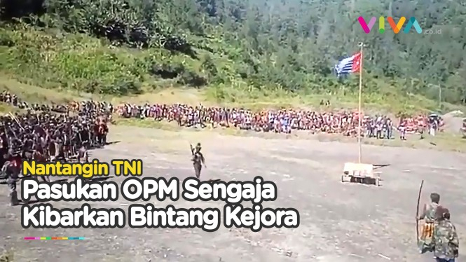 Terang-terangan! Pasukan OPM Tantang TNI Buat Berperang