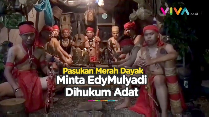 Pasukan Merah Dayak Geram, Edy Diminta Datang ke Kalimantan