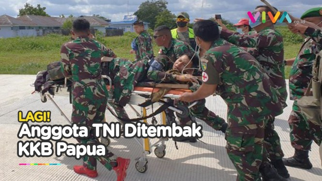 NGERI! Anggota TNI Kena Tembak KKB Papua di Pos Titigi