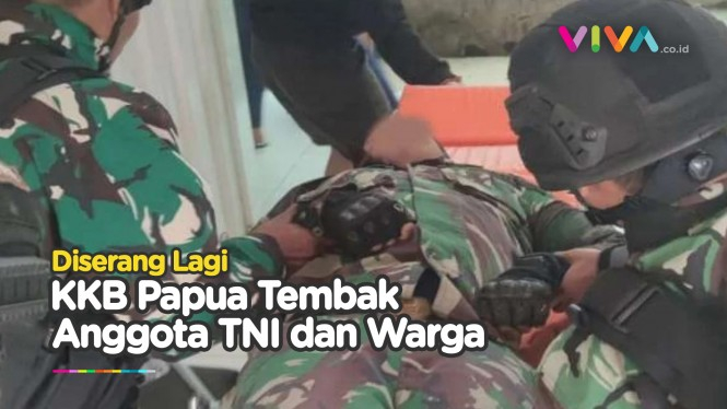 LAGI! KKB Papua Tembak Anggota TNI dan Warga Sipil di Ilaga