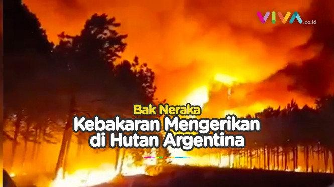 Kebakaran Hutan Mematikan Hanguskan Ratusan Ribu Hektar