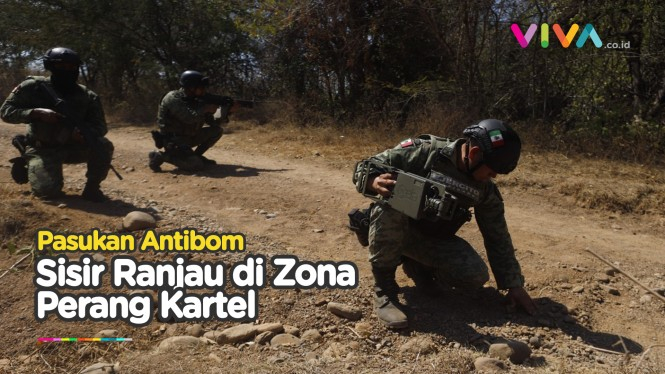 Pasukan Antibom Meksiko Dikirim ke Zona Perang Kartel