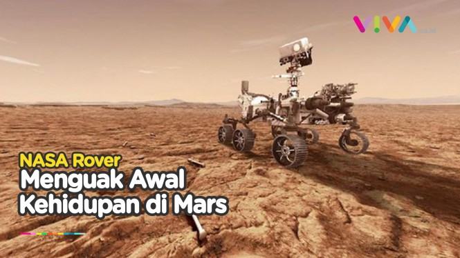 Canggih! NASA Rover Bor Kawasan Delta Ungkap Awal Kehidupan
