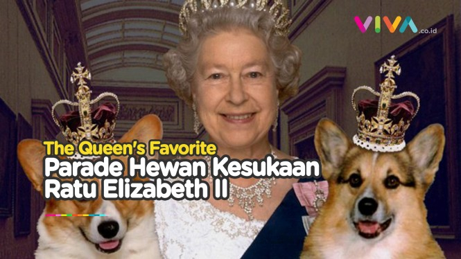 Hewan Kesukaan Ratu Elizabeth II Bakal Jadi Artis