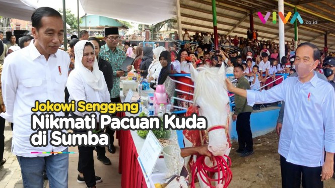 Mesranya! Berdua Istri, Jokowi Nonton Pacuan Kuda