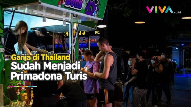 Obral Ganja, Truk Penjual Ganja di Bangkok Diserbu Turis