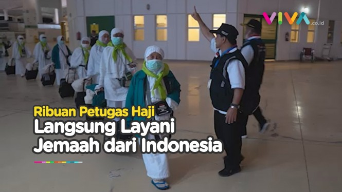 Petugas Haji Sigap Layani Jemaah Indonesia yang Tiba di KAIA