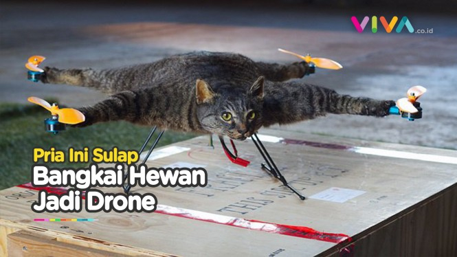 Ketika Bangkai Kucing Peliharaan Bisa Terbang Jadi Drone